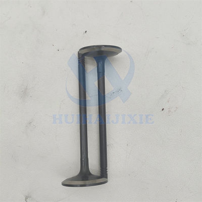 Excavator C6.6 Engine Repair Parts Main Bearing 276-7388 276-7389 Con Rod Bearing Thrust Washer 276-7390 Intake Valve 309-6678 Exhaust Valve 339-9637